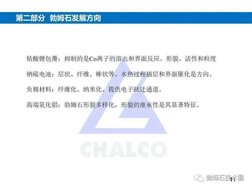 车洪生 新能源用勃姆石技术发展与展望